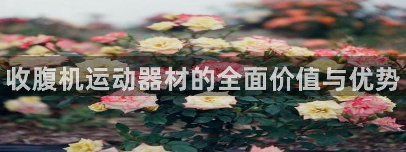 BWIN体育官方正版app娱乐网站:收腹机运动器材的全面价值