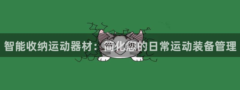 BWIN体育官方正版app娱乐首页官网下载:智能收纳运动器材